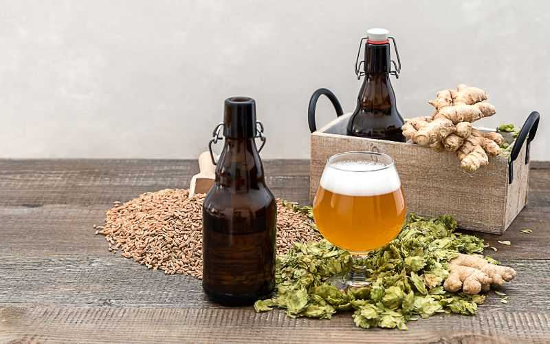 El creciente mercado de la cerveza artesanal: dónde comprar y qué marcas probar