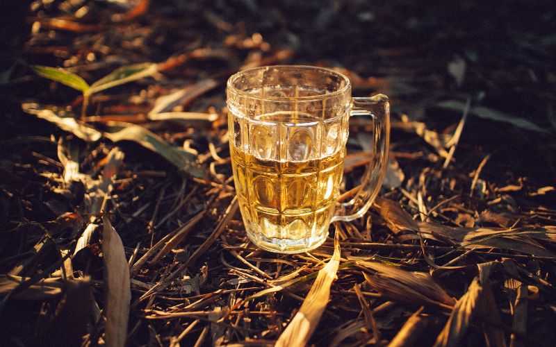 Cervezas doradas artesanales: la excelencia en cada sorbo