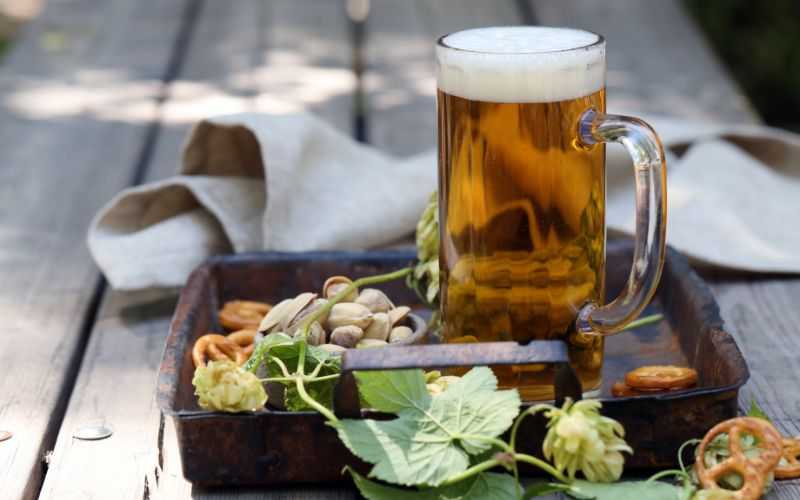 Maridaje de cerveza negra: combinaciones perfectas con comida
