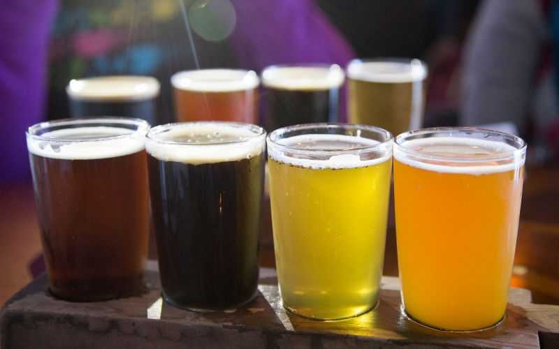Pack de Cerveza Artesana: Una Experiencia Completa en Cada Botella