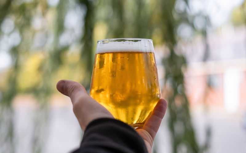 Cerveza dorada: una joya líquida para los amantes de la cerveza