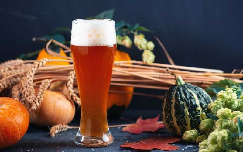 Cervezas Brown Ale: Sabores Tostados y Carácter Único