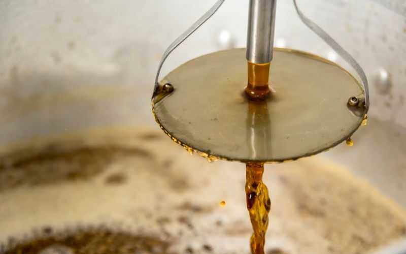 IPA y Double IPA: Un Vistazo a las Cervezas Más Aromáticas y Amargas