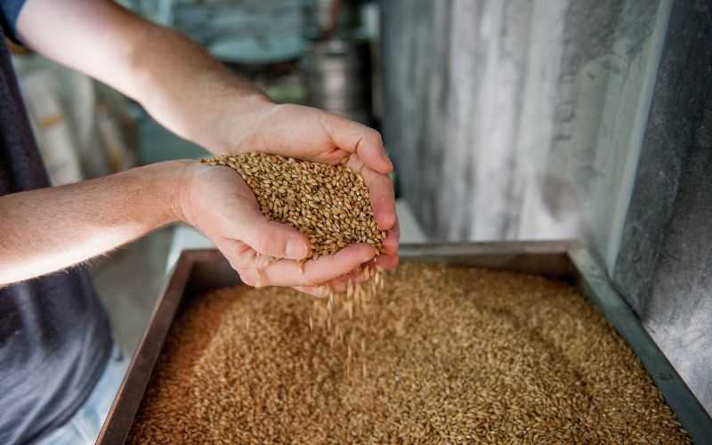 Compra de cervezas artesanales: apoya a los productores locales y disfruta de la calidad